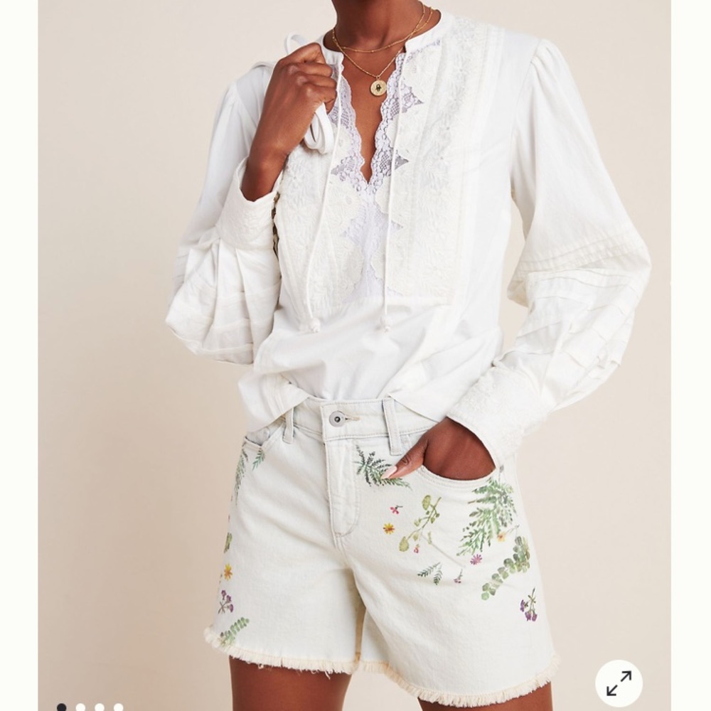 Anthropologie High Waisted Shorts